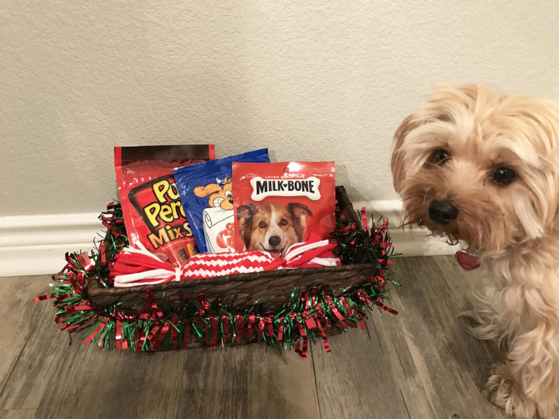 Holiday Gift Baskets for Your Pet Written With Love